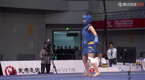 世界杯武術散打比賽