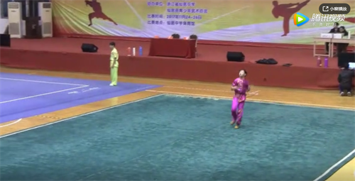 青少年武術套路冠軍賽