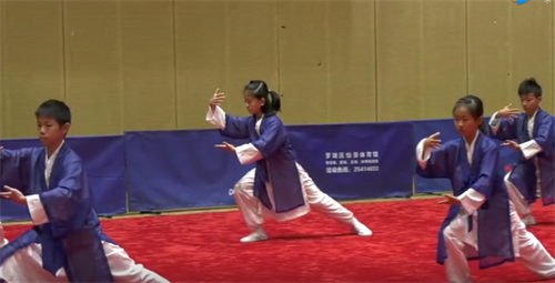 2018傳統武術精英賽少兒組比賽