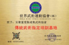 安徽靈璧縣遊集武術協會