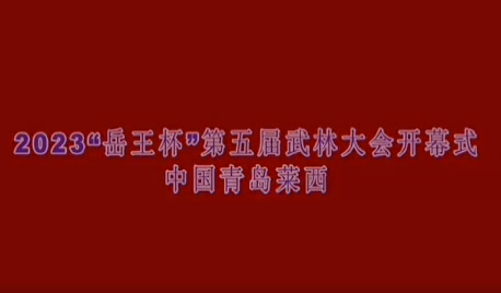 2023＂岳王杯＂第五屆武林大會開幕式